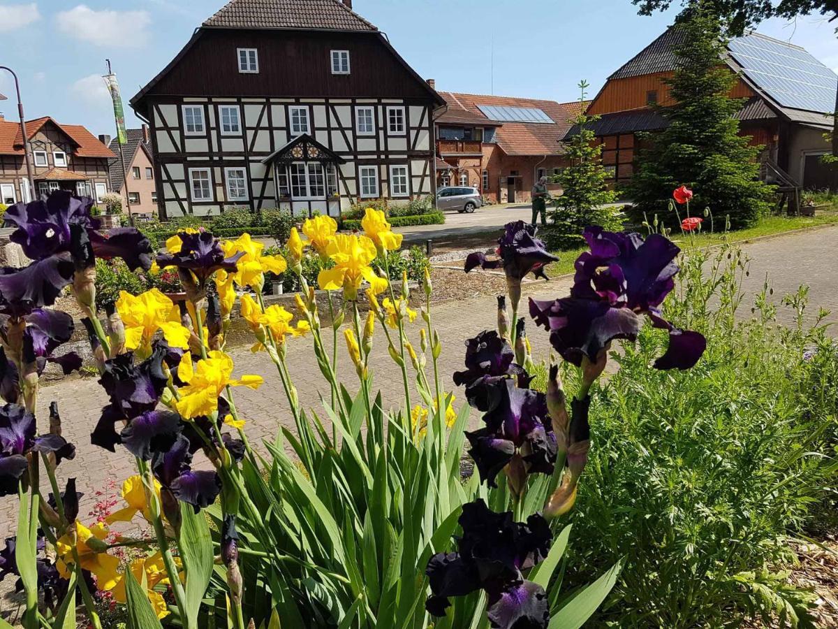 Muellers Hof Ferienwohnung/Pension Emmerthal Buitenkant foto